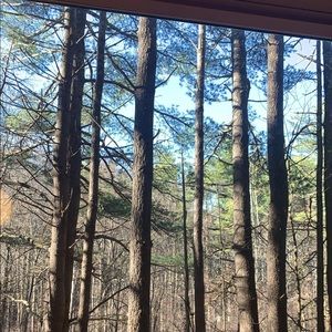 Meet your Posher, Eungin